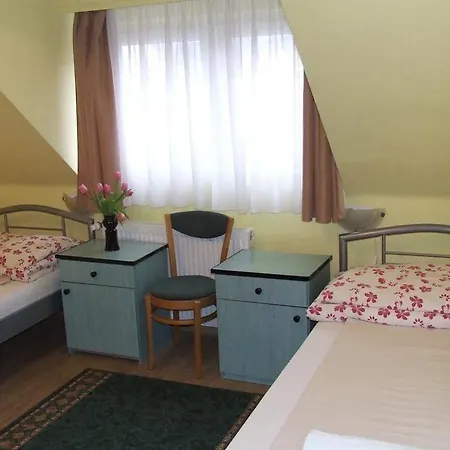 Peterfia Panzio 3* Debrecen