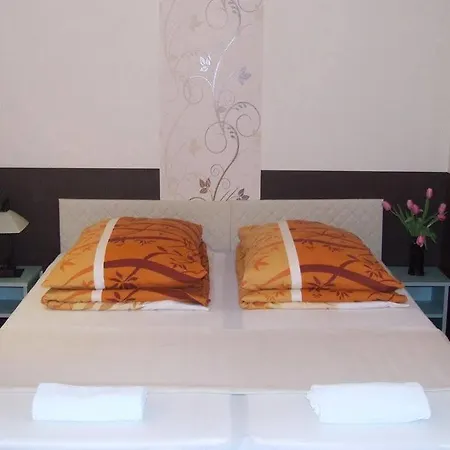 Hotel Peterfia Panzio 3*